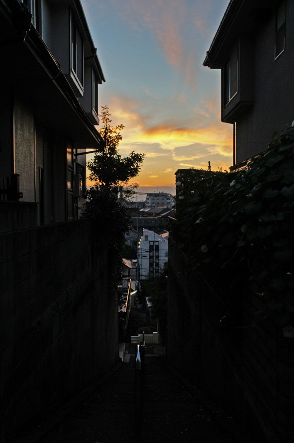 夜散歩のススメ0708 国分寺崖線からみる隙間の夕日 夜散歩のススメ