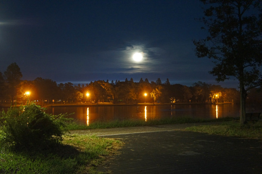 夜散歩のススメ2285 灯りが違う 水元公園の小合溜 夜散歩のススメ