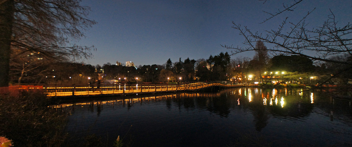 夜散歩のススメ754 井の頭恩賜公園 七井橋の先 夜散歩のススメ