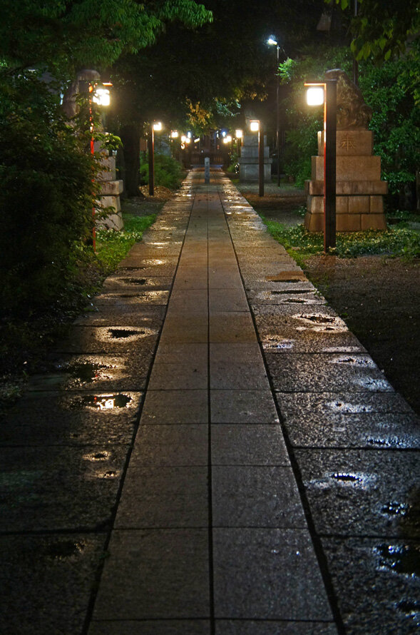 夜散歩のススメ2594 細長 い参道 八幡神社 夜散歩のススメ