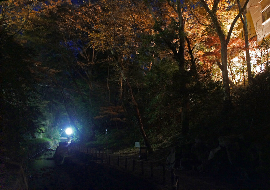夜散歩のススメ2902 幽玄なり 闇の等々力渓谷 夜散歩のススメ