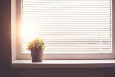 sun-shining-through-the-window-with-sun-blind-picjumbo-com