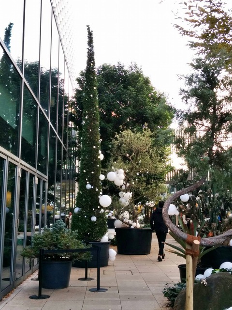 代官山2016_新宿のスペイン語レッスンヨルスペ