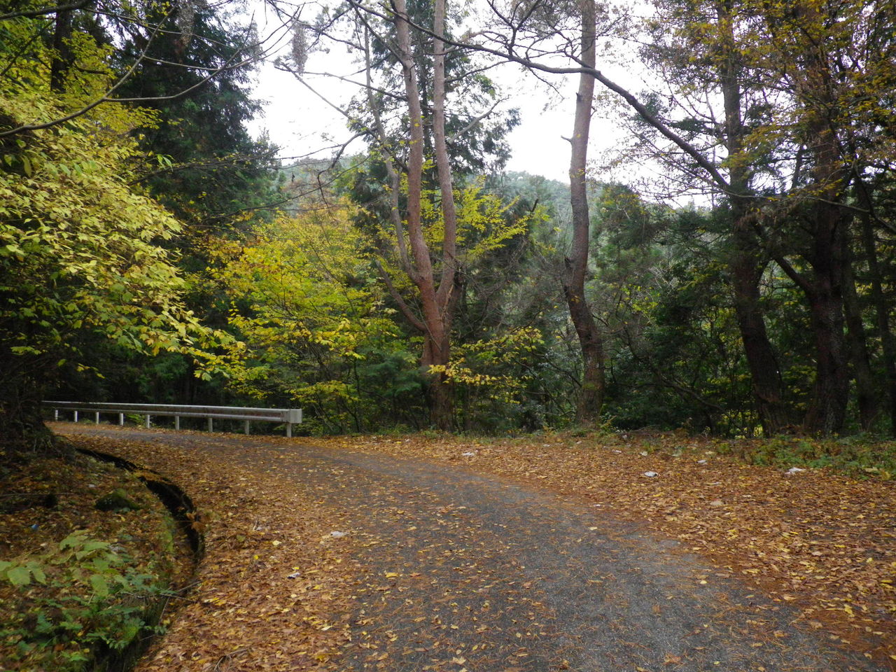 国道153号 伊勢神トンネル 自転車