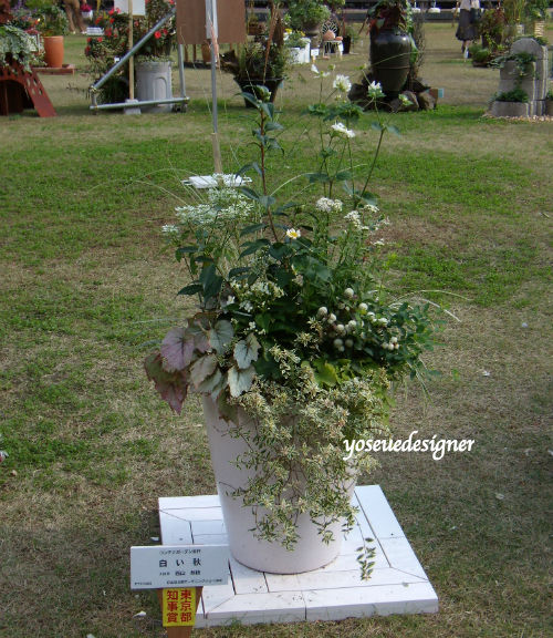 日比谷公園ガーデニングショー 東京都知事賞 受賞 コンテナガーデン部門 The Planting Works 寄せ植え作品集 日比谷公園ガーデニングショー 東京都知事賞 受賞 コンテナガーデン部門 The Planting Works 寄せ植え作品集