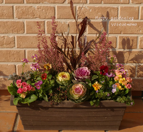 アワユキエリカとバラ咲きジュリアンで春のようなコンテナガーデンにデザインしました The Planting Works 寄せ植え作品集