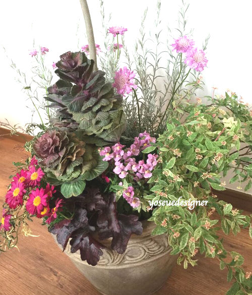 オリーブとマーガレットの寄せ植えで庭の花壇をイメージして作ってみました The Planting Works 寄せ植え作品集