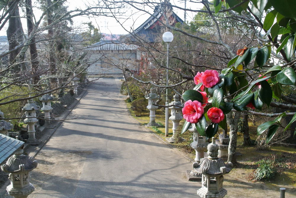 2月27日 土 晴れ 北風で寒い一日 雨が降らず野菜に水やり Yoshi91のblog 2月27日 土 晴れ 北風で寒い一日 雨が降らず野菜に水やり Yoshi91のblog