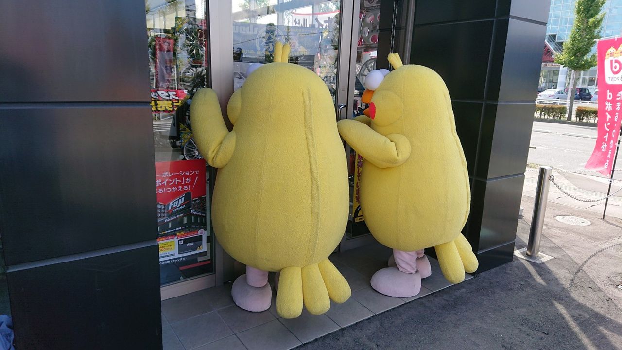 ポインコ兄弟めんこいなぁ Z ヨシー日記 今日の出来事