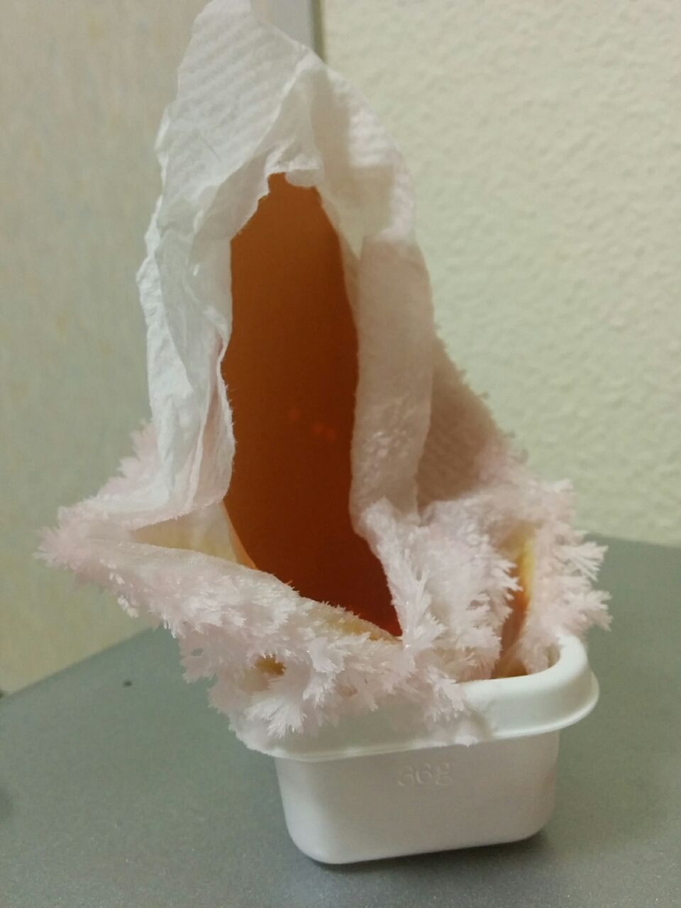 冬だけど自由研究 尿素で結晶を作ろう 元教師のわくわく家庭学習 冬だけど自由研究 尿素で結晶を作ろう 元教師のわくわく家庭学習