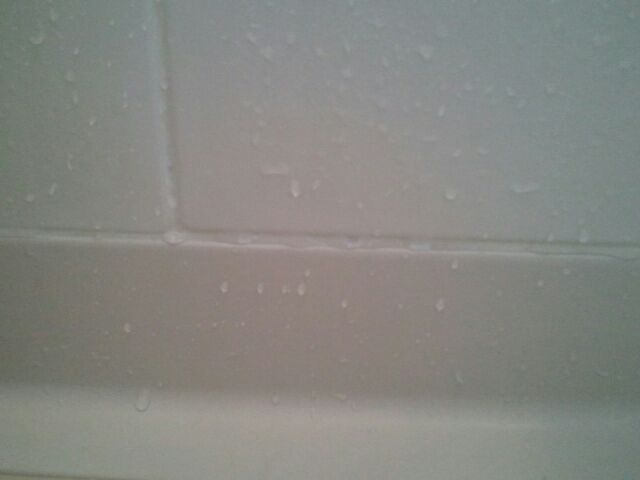 目地ペインターで風呂のカビ隠し 節約ママのこだわり掃除