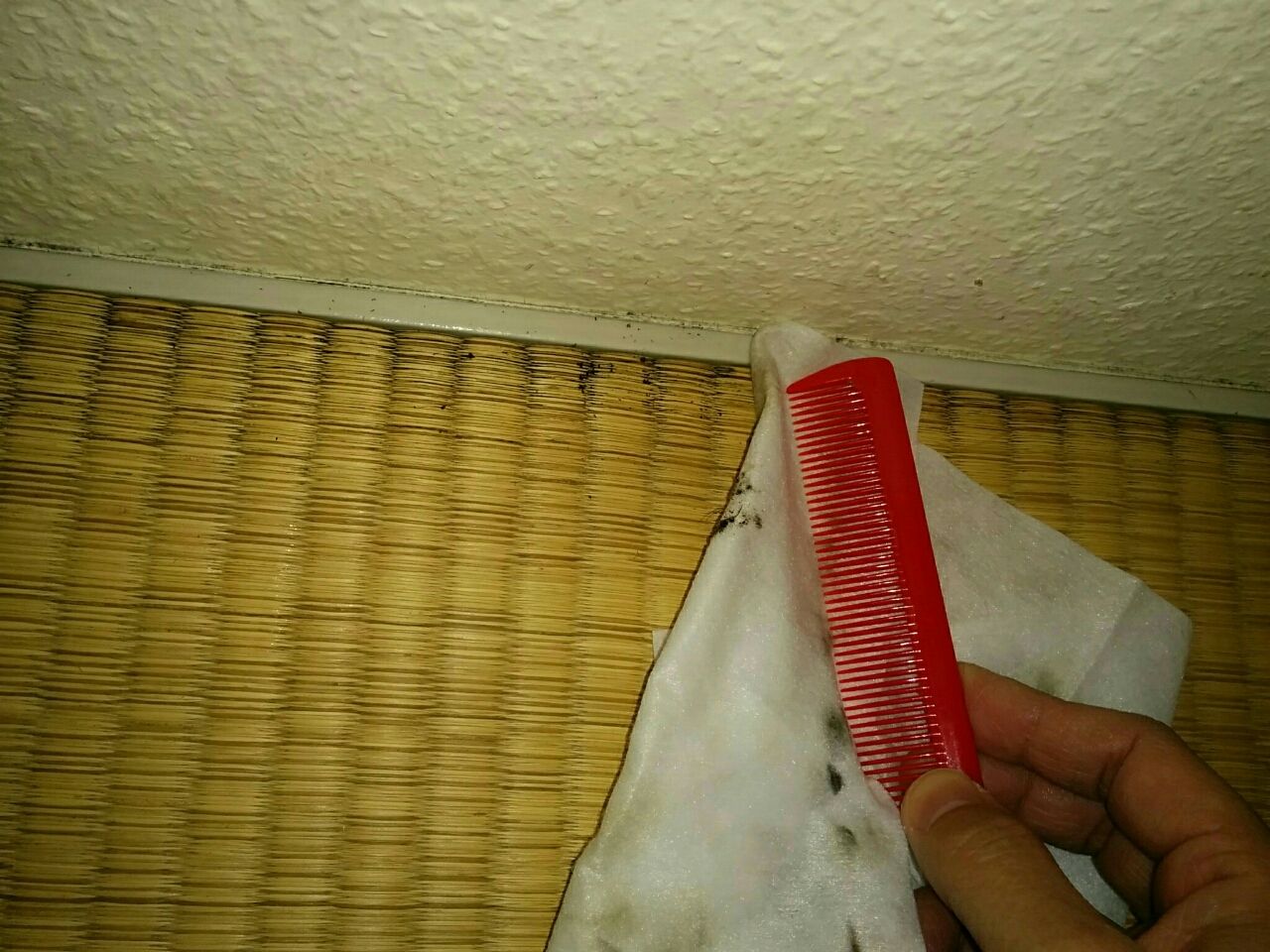 ダイソーの畳用シートで畳のカビは取れるか 節約ママのこだわり掃除