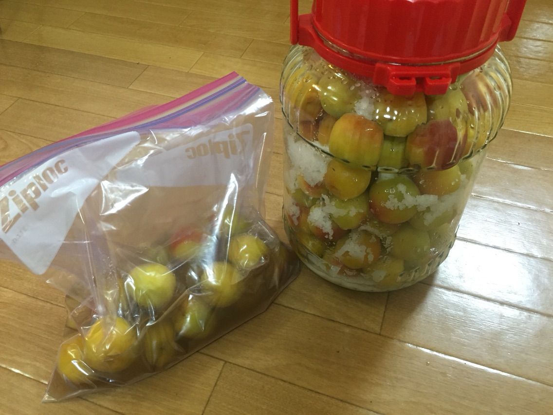 梅雨を楽しむ さしす梅干しと梅干しの仕込みをしました 節約ママのこだわり掃除