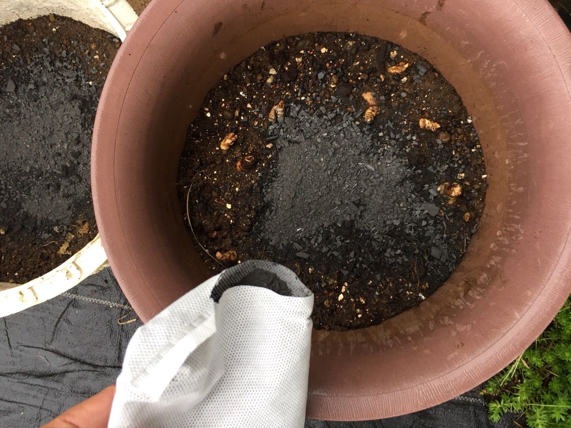 匂い取りと除湿には細かい竹炭がオススメ 節約ママのこだわり掃除 匂い取りと除湿には細かい竹炭がオススメ 節約ママのこだわり掃除