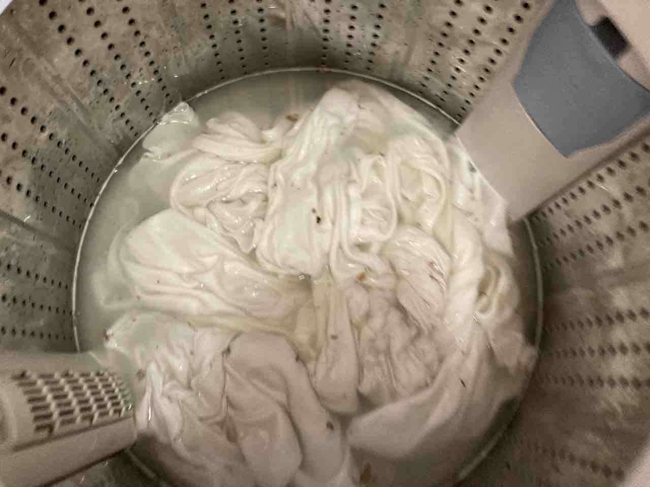 洗濯機でつけおきしたら 黒カビで下着が汚れた オキシ漬け失敗例 節約ママのこだわり掃除 洗濯機でつけおきしたら 黒カビで下着が汚れた オキシ漬け失敗例 節約ママのこだわり掃除