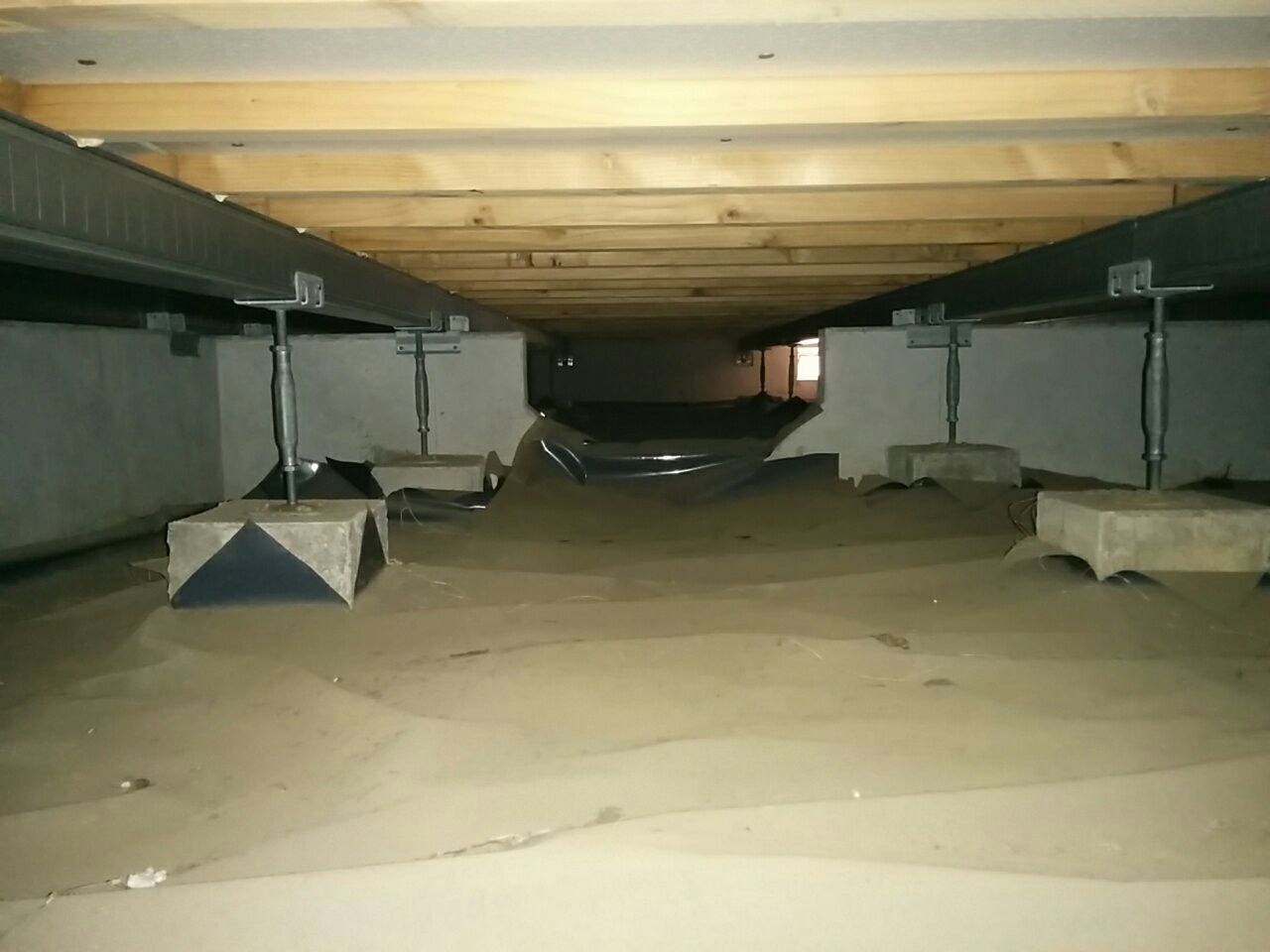 アリ退治からの廊下掃除》 : 節約ママのこだわり掃除