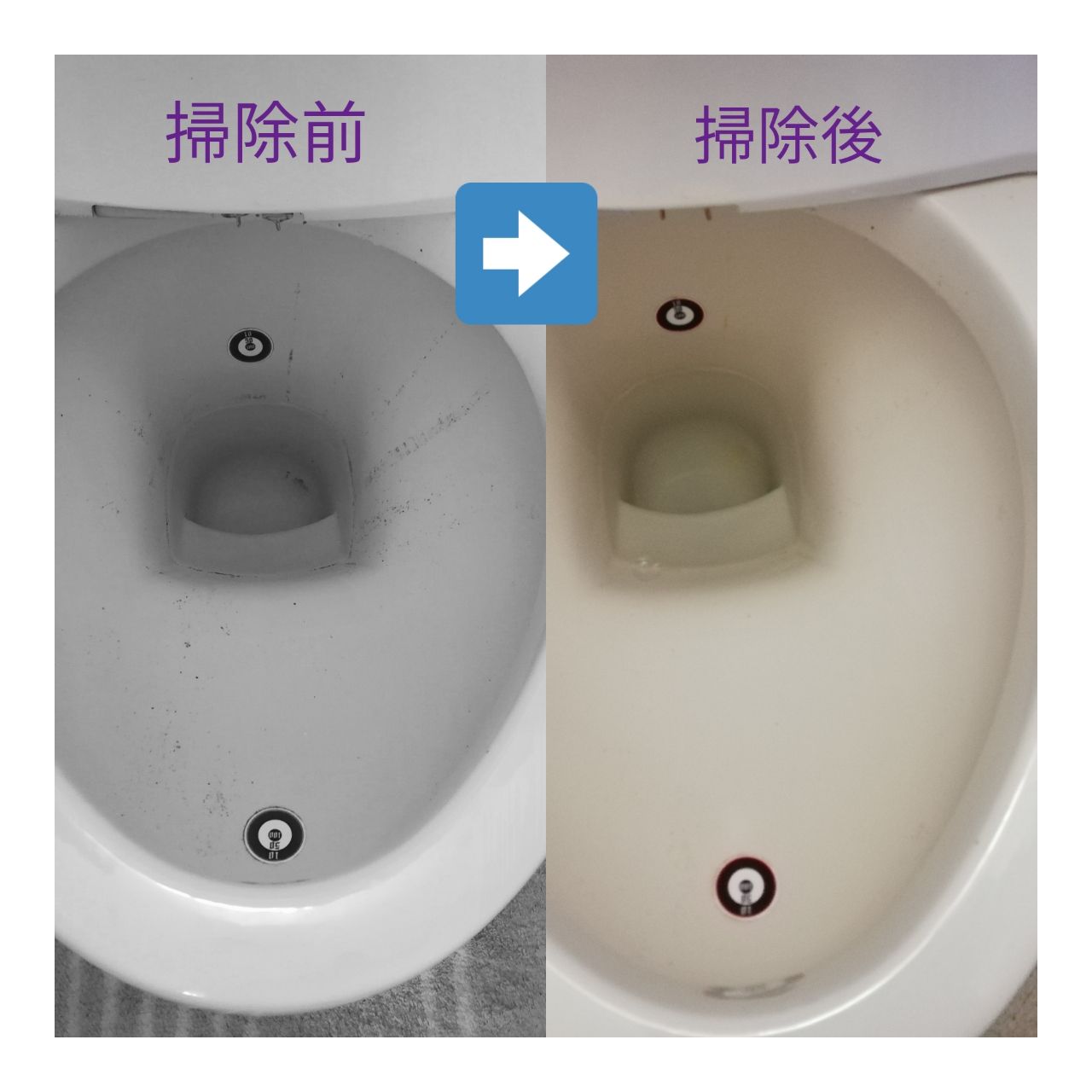 信託 ブルーレット さぼったリング 大盛り泡 水際の黒ズミ対策 さぼったリングの上まで洗える 除菌 トイレ洗浄剤 1セット 2包×2個 小林製薬 discoversvg.com 信託 ブルーレット さぼったリング 大盛り泡 水際の黒ズミ対策 さぼったリングの上まで洗える 除菌 トイレ洗浄剤 1セット 2包×2個 小林製薬 discoversvg.com