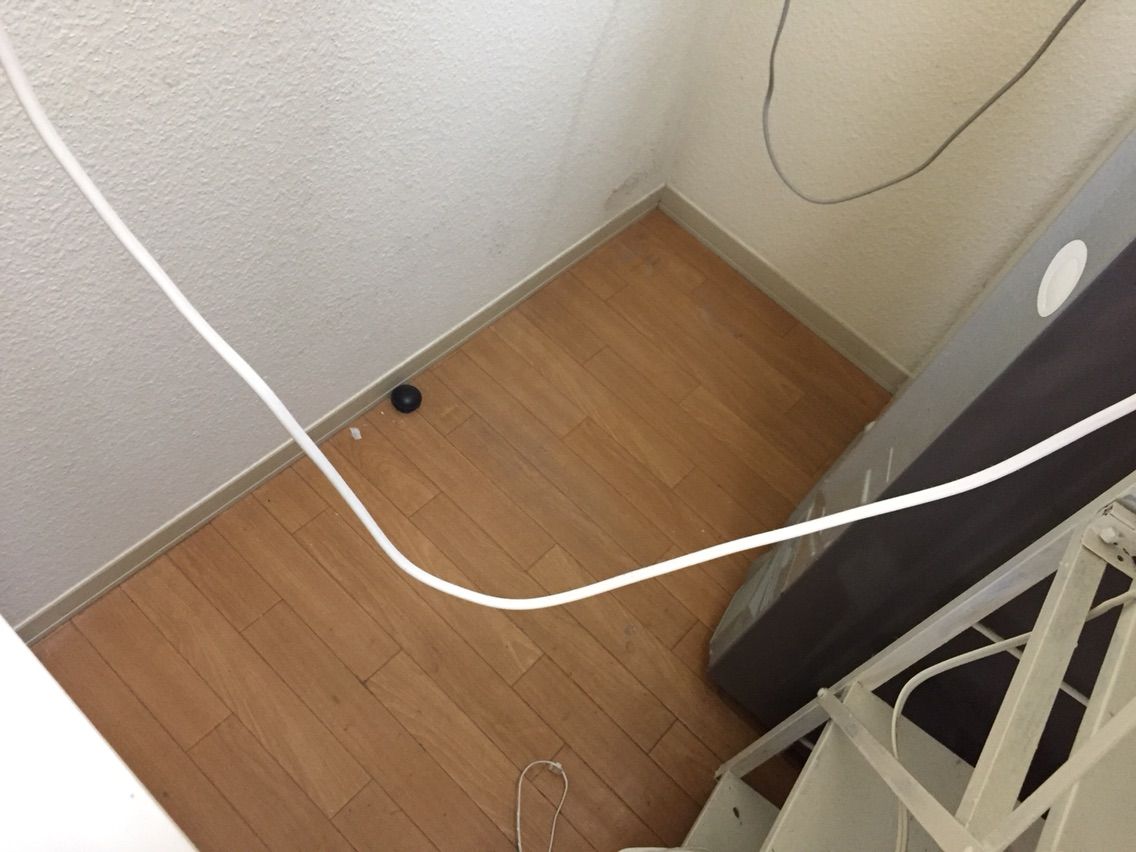 ブラックキャップ実は回収が大変 回収忘れしないためにしたこと 節約ママのこだわり掃除 ブラックキャップ実は回収が大変 回収忘れしないためにしたこと 節約ママのこだわり掃除