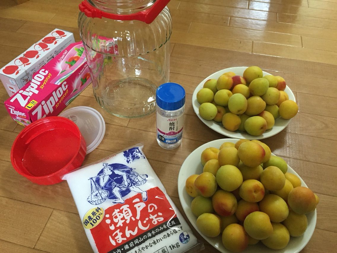 梅雨を楽しむ さしす梅干しと梅干しの仕込みをしました 節約ママのこだわり掃除