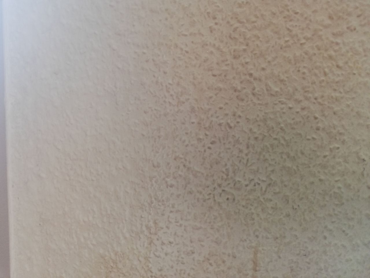達成感があって疲れないのに部屋がキレイになる壁紙掃除 節約ママのこだわり掃除 達成感があって疲れないのに部屋がキレイになる壁紙掃除 節約ママのこだわり掃除