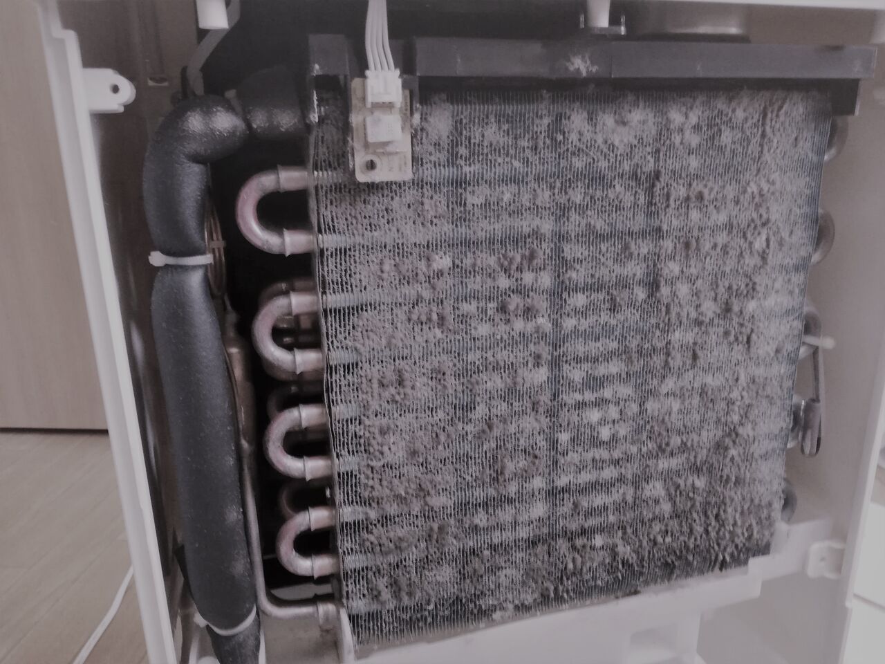 衣類乾燥除湿機の中が臭い 冷却器がカビだらけでショックを受けました 写真あり 節約ママのこだわり掃除 衣類乾燥除湿機の中が臭い 冷却器がカビだらけでショックを受けました 写真あり 節約ママのこだわり掃除