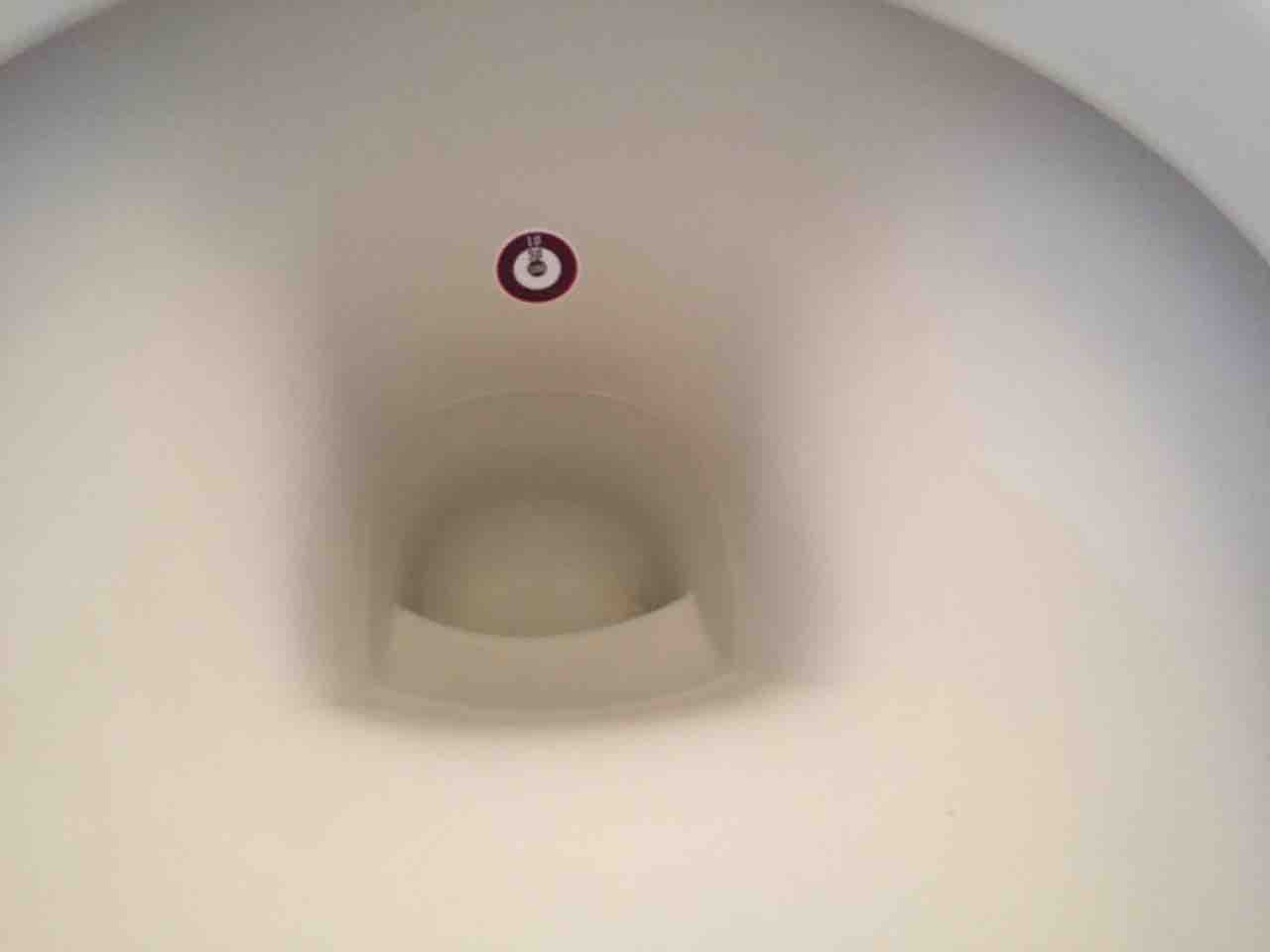 ダイソーのオシッコの飛び散り防止シール貼ってみました 108円で