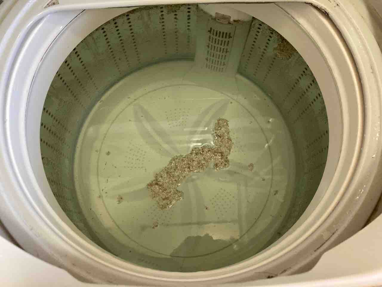 洗濯機でつけおきしたら 黒カビで下着が汚れた オキシ漬け失敗例 節約ママのこだわり掃除 洗濯機でつけおきしたら 黒カビで下着が汚れた オキシ漬け失敗例 節約ママのこだわり掃除