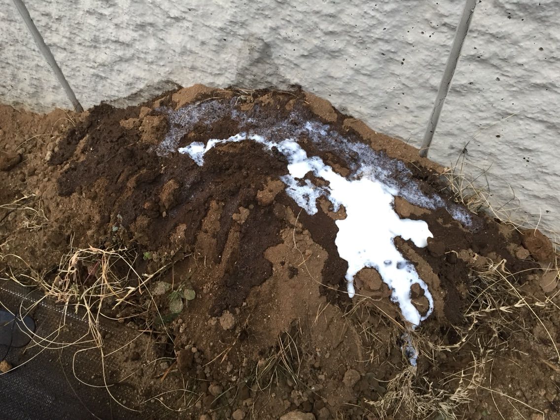 雑草を利用 米ぬかとヨーグルトで有機堆肥作り 節約ママのこだわり掃除