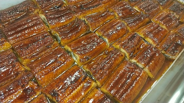 9061F27C-50B7-4499-ABF4-DB66DB24C714