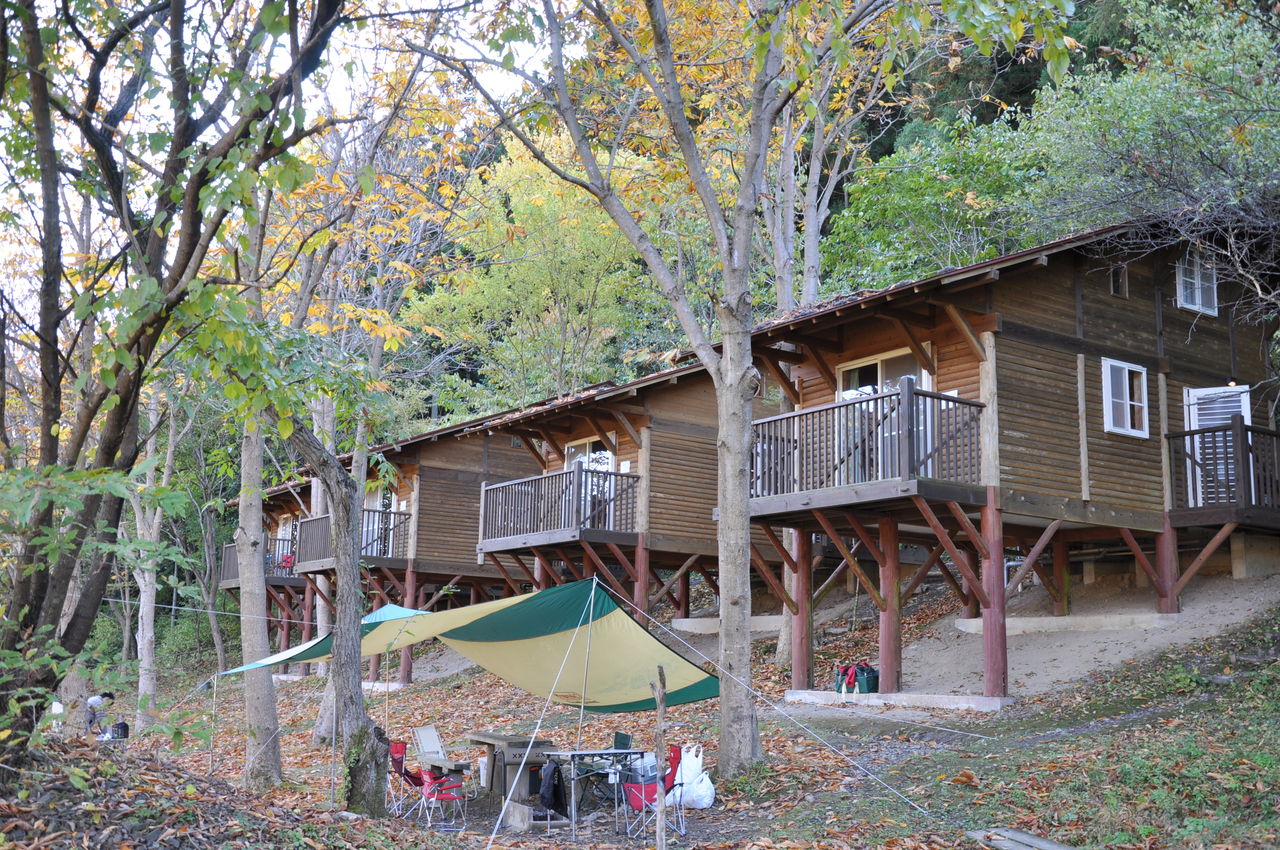 紅葉真っ最中 山逢の里キャンプ場 11月4日 日 レポート よってがっせぇ 吉田情報局 ブログ出張所