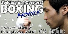 pickup_boxer67_small