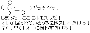 11ccfT