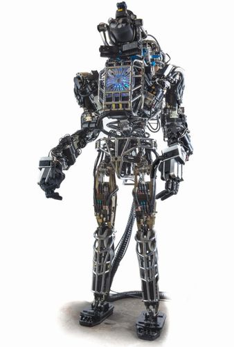 Atlas_4437_shrunk_338x500