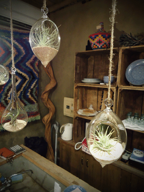 絨緞とサボ展一日目終了しました