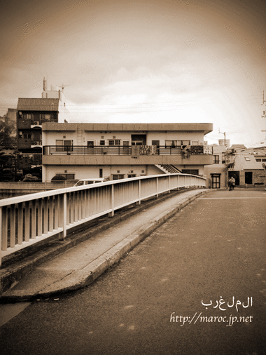 今月もモロッコより荷物が届きました