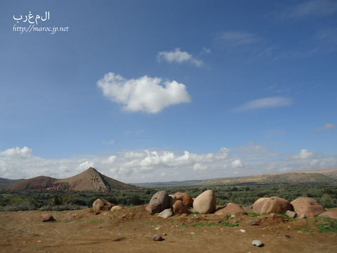 4月と5月の営業日について