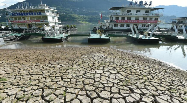 スクリーンショット 2022-08-19 044139