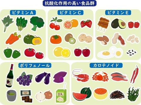 私たちの体に強力な抗酸化作用を持つ8つの食品