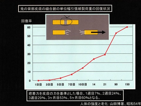 113図1
