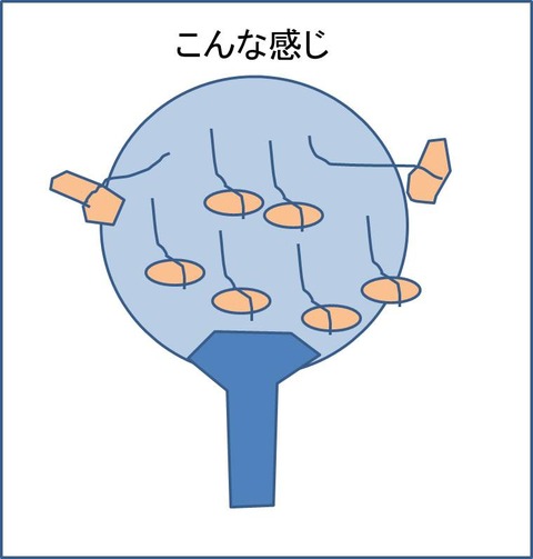 うちわ図1