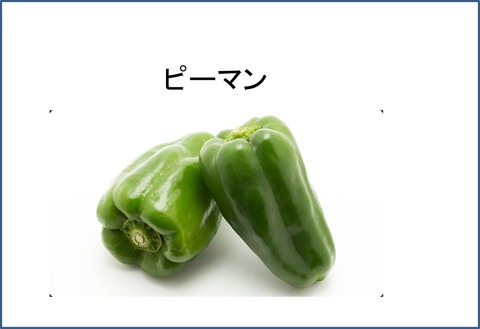 ２４図1