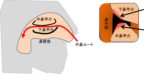 ３３図1