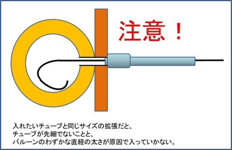 かくちょう５