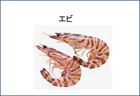 １７図1
