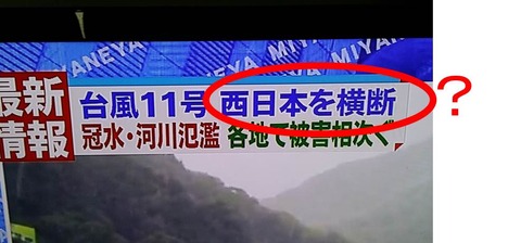 ３３３図1