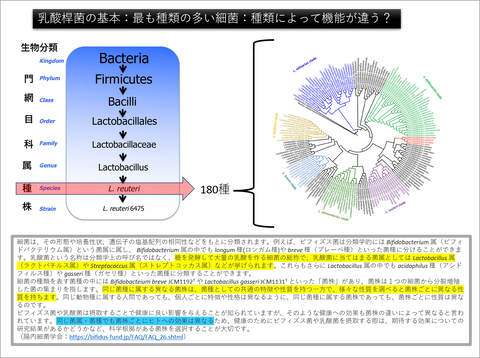 図1
