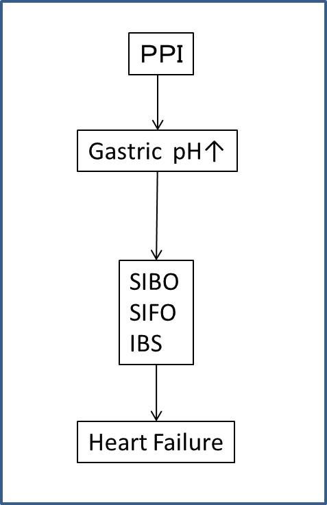 sibo