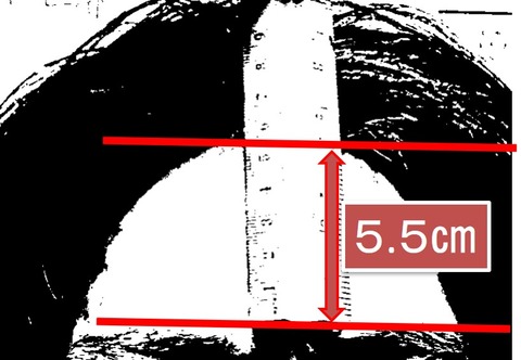 ３