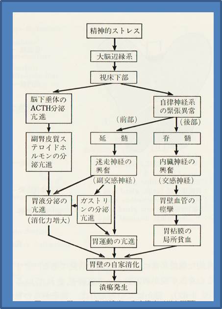 １図1