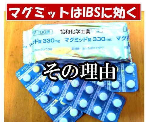 まぐみっと